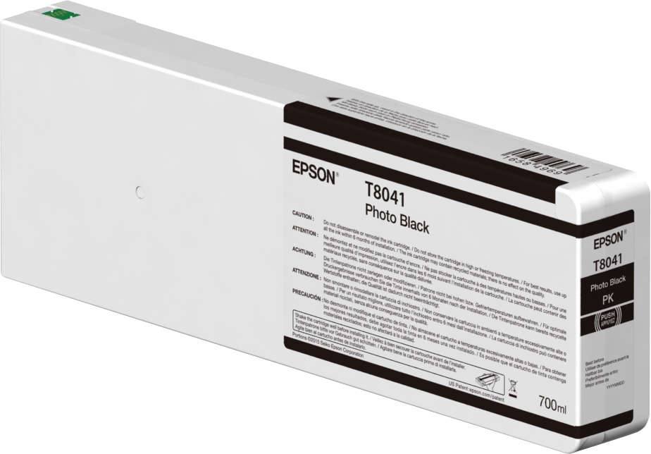 Epson T8041 Negro Photo Cartucho de Tinta Original - C13T804100